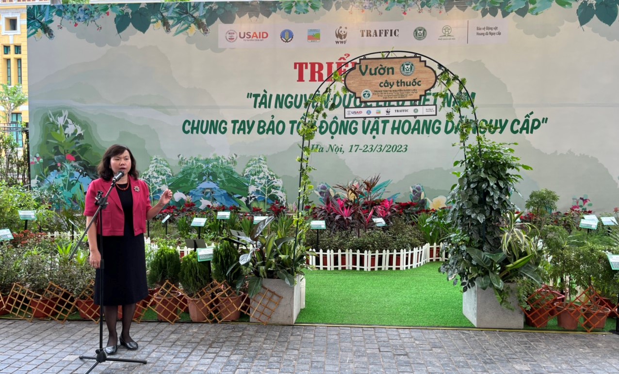 Không có ảnh